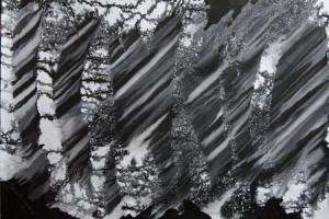Abstract Black and White painting by Tamal Sen Sharma